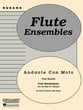 ANDANTE CON MOTO FLUTE QUARTET cover